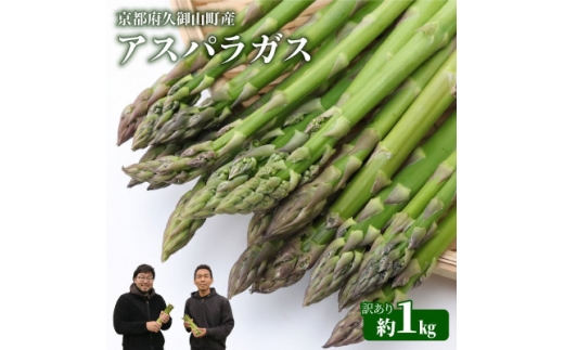 ＜訳あり＞アスパラガス1kg 2026年産 朝採りアスパラ　S～2Lサイズを農家直送でお届け【1733760】