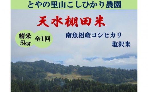 令和8年産米【天水棚田米】特別栽培米雪蔵熟成塩沢産コシヒカリ精米5kg1回「とやの里山継承プロジェクト」【銘柄 精米 こしひかり コシヒカリ 魚沼産 新潟米 お米 米 こめ】【2026年10月下旬より順次発送予定】