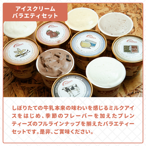 【3か月定期便】湘南茅ヶ崎の人気店 プレンティーズのアイスクリーム（バラエティセット10個）