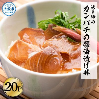 ふるさと納税 土佐市 訳あり　活き締めカンパチの醤油漬け丼(20P)セット