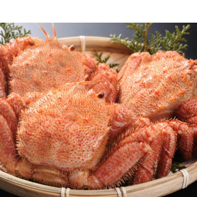 ふるさと納税 網走市 【網走産】毛がに800g前後×3杯