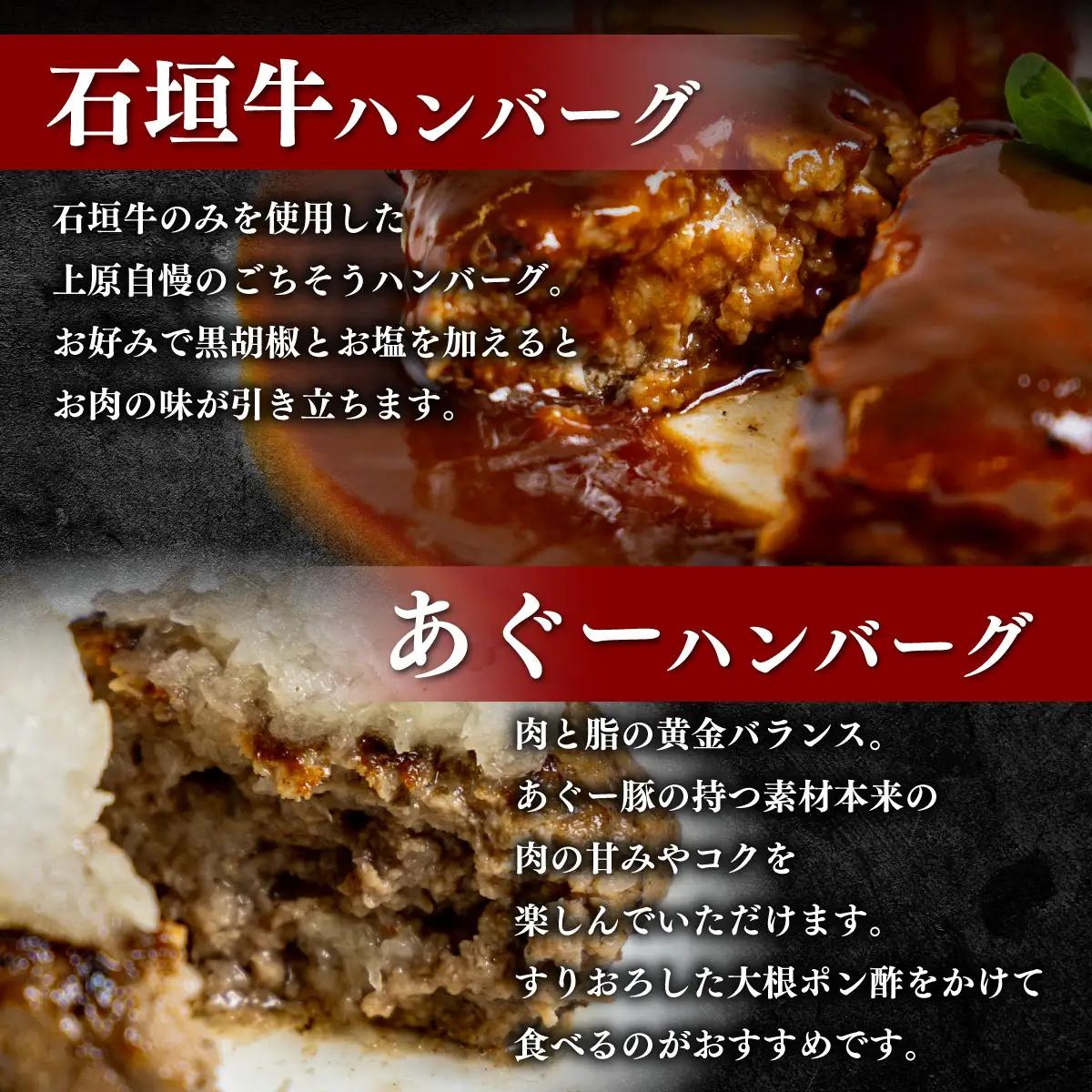 石垣牛＆あぐーハンバーグセット （AG011-1）