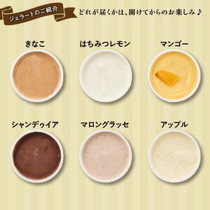 【合計30個】ジェラートおまかせ30種（80ml×30個セット） EB8-0290