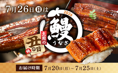 【丑の日】職人手焼きの本格うなぎ蒲焼き6尾≪7月20日～25日お届け≫_38-33-003-6-UG_(都城市) うなぎ 蒲焼き 6尾 たれ 鰻 かば焼き 土用の丑の日