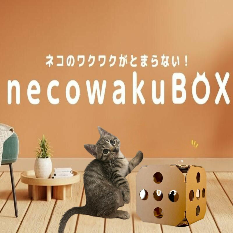 【ふるさと納税】necowakuBOX　|| 送料無料 株式会社エルトップ 愛猫夢中 ダンボール おもちゃ 興味津々 猫夢中 遊び ストレス解消 楽しい アクティブ 軽量 組立簡単 おしゃれ 贈答 プレゼント ギフト 安心 日本製 ブランド 猫用 山梨県都留市