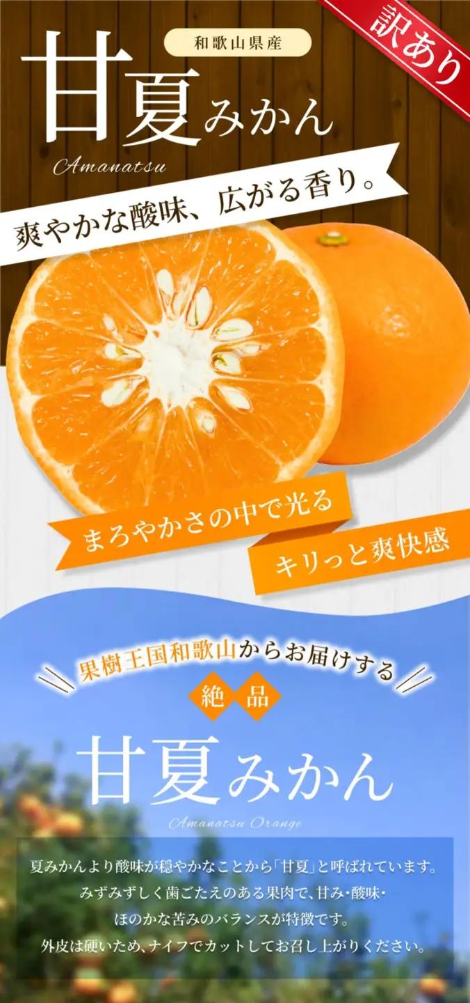 【訳あり】 森本農園の手選別 甘夏みかん 約10kg 和歌山県産 サイズ混合 【北海道・沖縄・離島配送不可】【2027年4月上旬～5月中旬頃に順次発送】【BV-mrmt146】