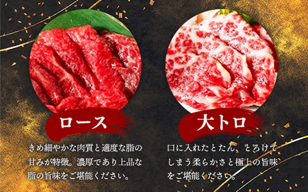 国産６種馬刺し食べ比べセット（宴）【熊本と畜】 - 上赤身 霜降り 大トロ たてがみ ふたえご ロース