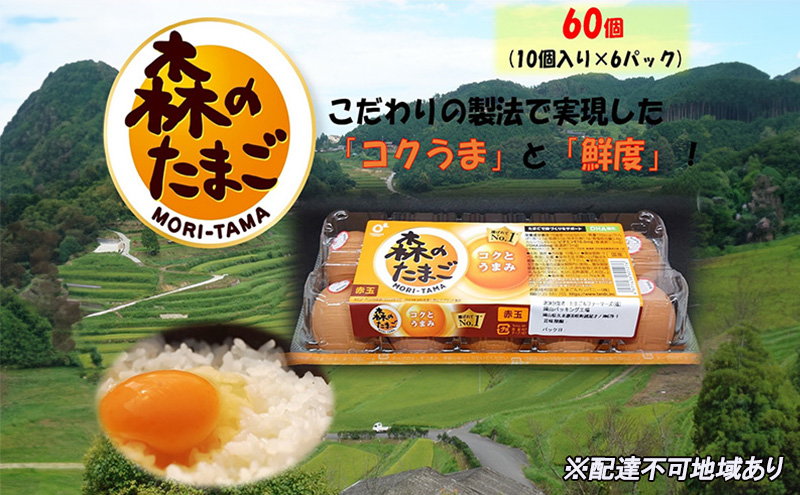 卵かけごはん の 聖地 美咲町 森のたまご（赤玉） 60個（10個入り×6パック） 卵 鶏卵 たまご