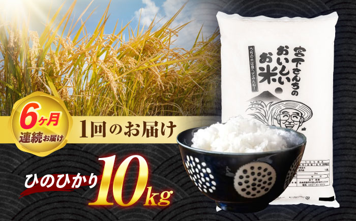 ＜先行予約＞(令和7年産)【6回定期便】長崎県認定特別栽培米ひのひかり10kg  / 米 こめ コメ おこめ お米 白米 精米 ひのひかり ヒノヒカリ kome 長崎県産 / 諫早市 / 宮下農園  