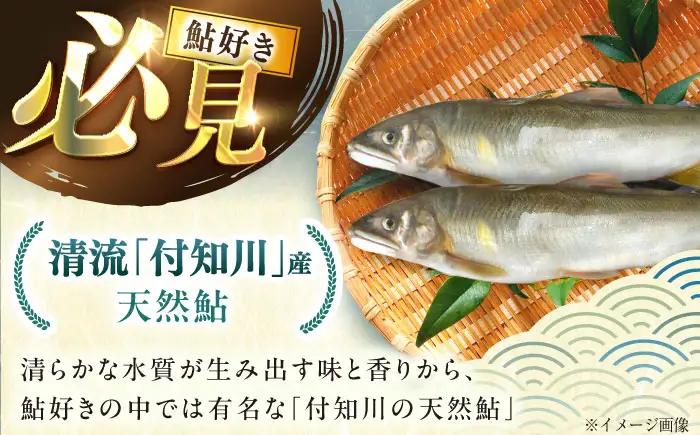 【スピード配送】天然あゆ 18-20cm 10匹 / 恵那市 / 恵那物産館 [AUFS008] あゆ