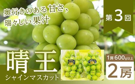 【全3回コース】晴れの国岡山 ぶどうの定期便