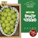 【ふるさと納税】《先行予約》山形の極み 山形県産 シャインマスカット マスカット ぶどう ブドウ 葡萄 デザート フルーツ 果物 くだもの 果実 食品 山形県 F2Y-1149