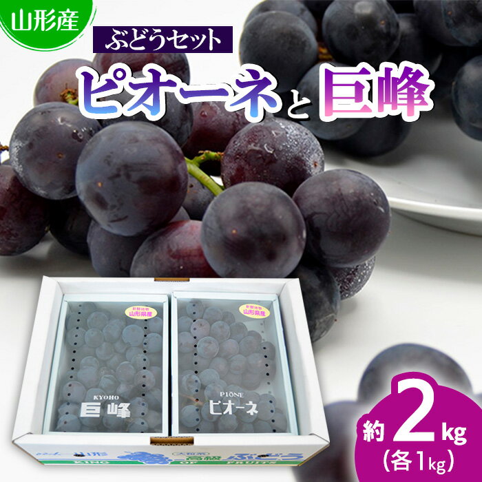 【ふるさと納税】山形のぶどうセット 秀品 約2kg(ピオーネ1kg2房前後・巨峰1kg2房前後)[8月中旬〜9月中旬お届け] 【令和7年産先行予約】FS24-571 くだもの 果物 フルーツ 山形 山形県 山形市 お取り寄せ 2025年産