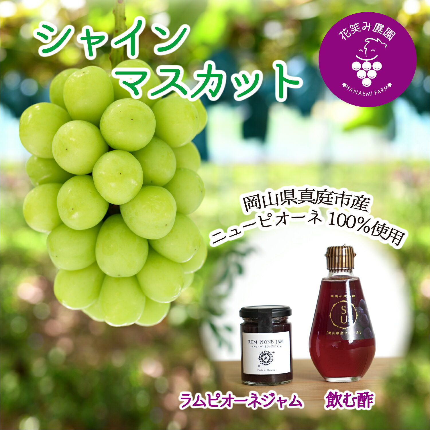 【ふるさと納税】 【2026年先行予約】岡山 花笑み農園の『シャイン&ラムピオーネジャム&飲む酢』シャインマスカットと加工品セット S-JN hana88 岡山 真庭 大粒 高級 濃厚 シャイン フルーティー ジャム 高級感 酢 飲む ビネガードリンク 贈答用