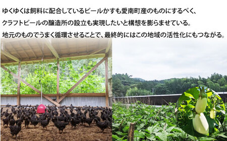 地鶏 愛媛 媛っこ地鶏 もも肉 約4kg ローカルスタンダード 愛媛 愛南