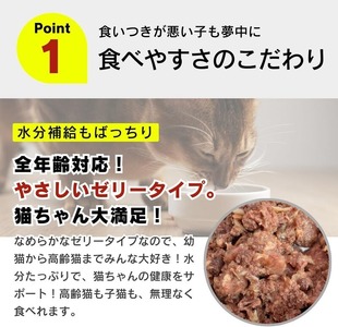 【隔月6回 定期便】金かつお 猫用パウチ（ササミ入り）160g×48袋 _ 定期便 隔月 全6回 金かつお 猫用 パウチ 160g × 48袋 × 6回 ササミ入り 全年齢 対応 やさしい ゼリータイ