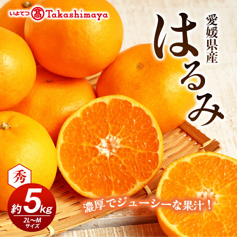 【ふるさと納税】【数量限定 先行予約】愛媛県産 はるみ 約5kg[50R0824] 【高島屋選定品】秀M～2Lサイズ 1月下旬頃～順次発送＜ギフト 高級 甘い みかん フルーツ＞ [No.5310-0044] 　お届け：2026年1月下旬～2月中旬頃
