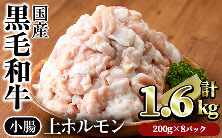 国産 黒毛和牛 小腸 ホルモン 上 焼肉 （計1.6kg）【カミチク】A828