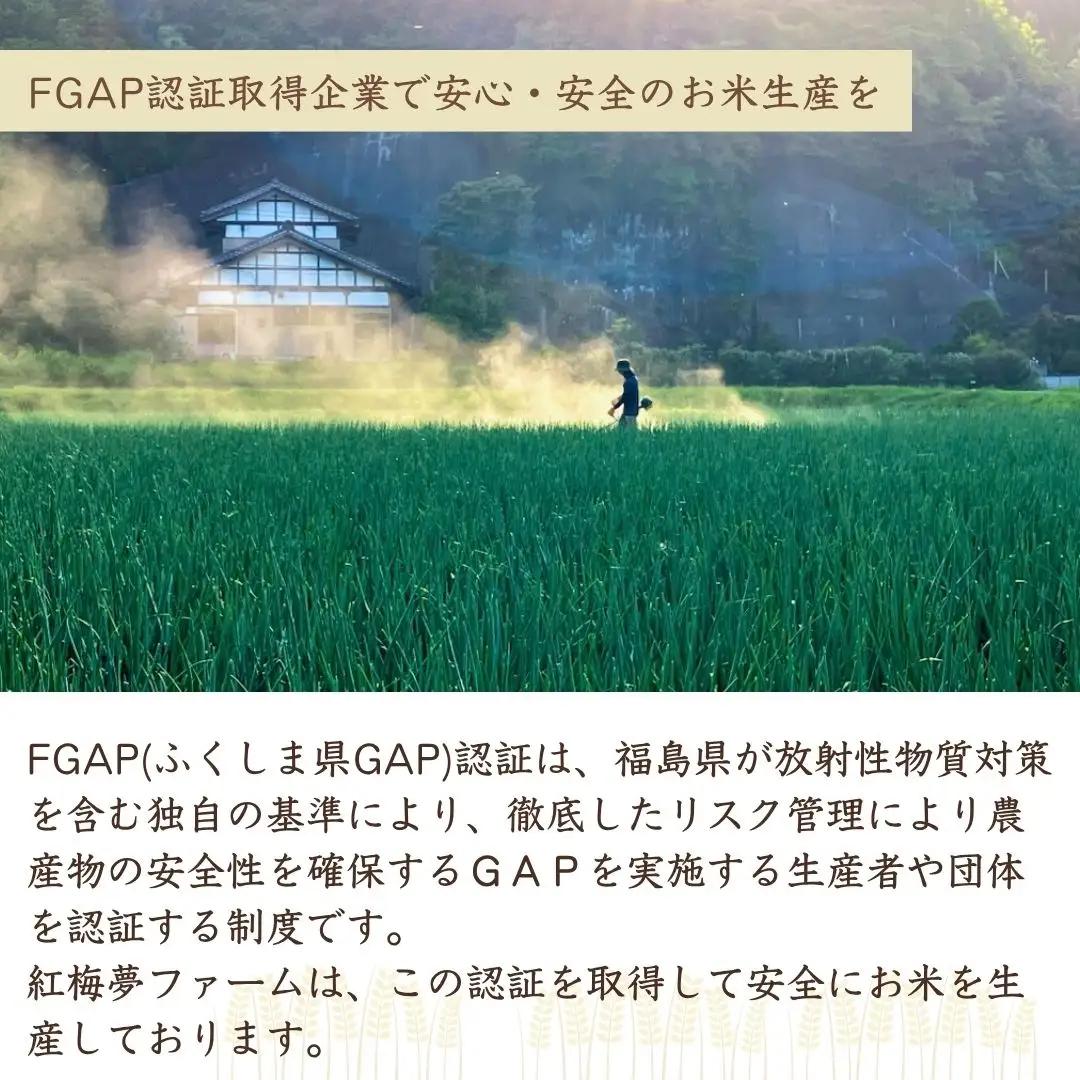 【ハム】小高ハム 2本セット 南相馬 | 江戸時代から続く伝統製法のハム 肉厚ハム 本格派ハム 豚ハム ギフト プレゼント お取り寄せ 贈答 贈り物 福島 南相馬 ハム