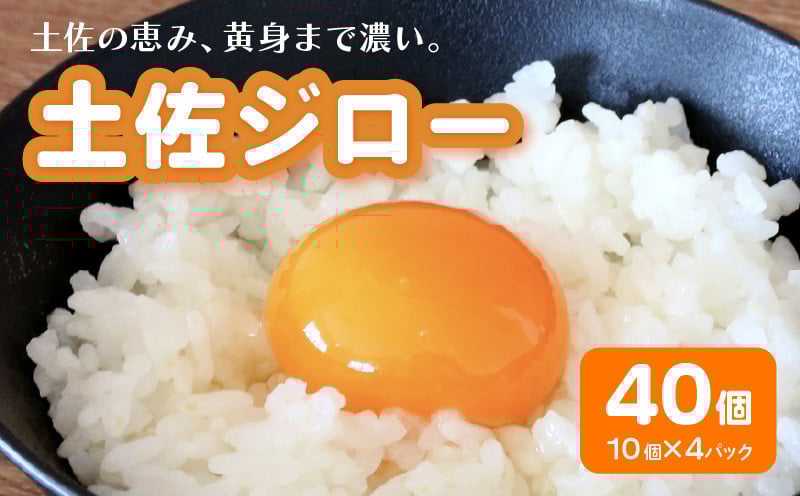 
            土佐ジローの卵 40個入り (10個×4パック)【たまご 卵 タマゴ 鶏卵 たまごかけごはん TKG オムレツ ケーキ 卵かけご飯 たまご焼き おいしい おすすめ  高知県 南国市】
          