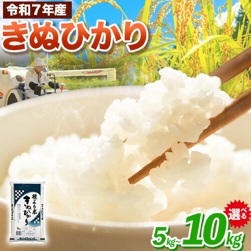 【ふるさと納税】令和7年産 粒より米 きぬひかり 選べる 5kg 10kg JAわかやま さわやか日高《90日以内に出荷予定(土日祝除く)》 和歌山県 日高町 米 こめ コメ きぬひかり キヌヒカリ 送料無料 精米