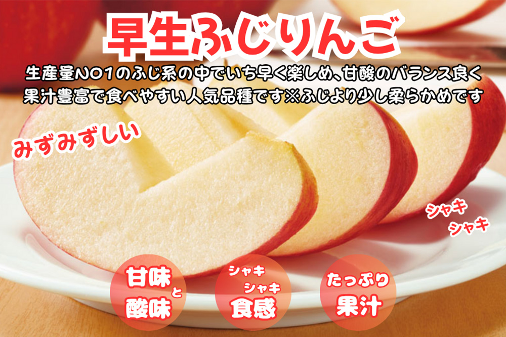 りんご【訳あり ご家庭用】早生ふじ 5kg 青森県産 青森 果物 フルーツ 林檎 リンゴ くだもの