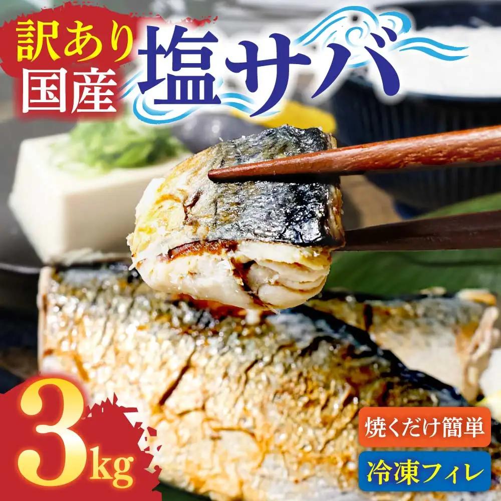 訳あり 塩サバ 3kg 約18枚 さば 鯖【R01426】