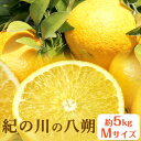 【ふるさと納税】秀品 紀の川の八朔 約5kg Mサイズ 厳選 はっさく 柑橘《2025年1月中旬-2月下旬頃出荷》 紀の川市厳選館 和歌山県 紀の川市 フルーツ 果物