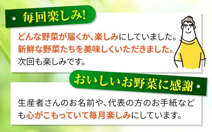 野菜 フルーツ 果物 定期便 旬 新鮮 詰合せ 定期便 12回 産地直送 農産物 農産品 野菜定期便 フルーツ定期便