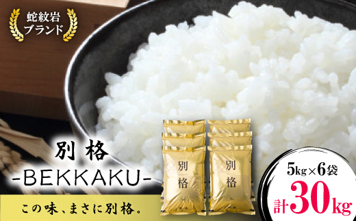 
            令和7年産新米・2025年9月以降発送＜ブランド別格米30kg＞_ブランド別格米 別格米 こめ コメ 米 お米 白米 ご飯 無洗米 高級米 美味しい 30kg 兵庫県 養父市 ふるさと納税 送料無料【1505036】
          