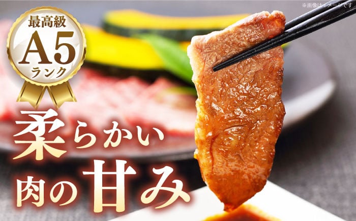 焼肉 牛肉 ブランド牛 切り落とし 黒毛和牛 やきにく 焼肉セット 葉山牛 葉山町