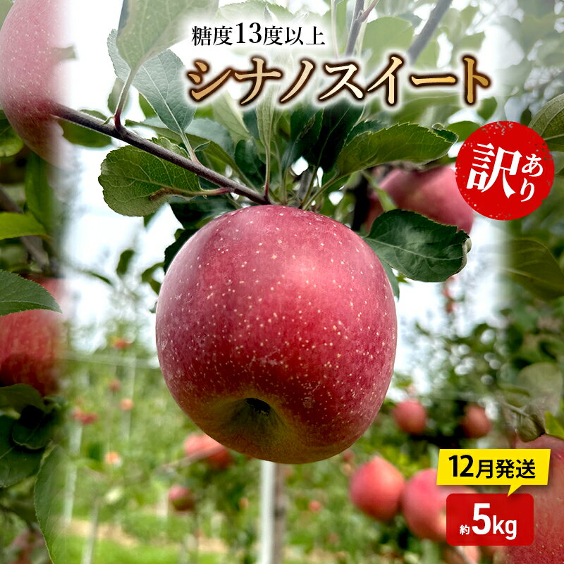 【ふるさと納税】りんご【12月発送】糖度13度以上 訳あり 家庭用 シナノスイート 約5kg【青森りんご】　お届け：2025年12月20日頃～2025年12月27日