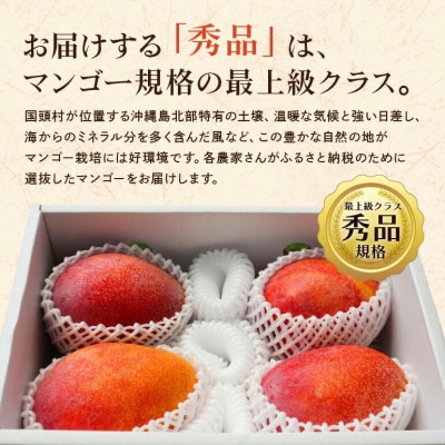 【2025年6月～8月の発送】秀品アーウィンマンゴー2kg(3～6玉)【配送不可地域：離島】