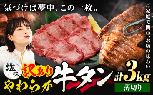 牛タン 薄切り 塩味 3kg 500g×6袋 《30日以内に出荷予定(土日祝除く)》 牛肉 肉 牛 たん タン 牛たん 焼くだけ 訳あり 焼肉 焼き肉 熊本県 山江村 薄切り BBQ タン下 塩牛タン 冷凍 味付け肉 一番人気 塩味 お取り寄せ 生活応援企画
