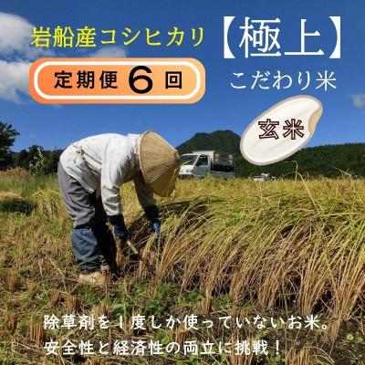 ふるさと納税 関川村 【毎月定期便】[極上]安心こだわり米 岩船産コシヒカリ 玄米6kg(3kg×2袋)[百姓屋]全6回