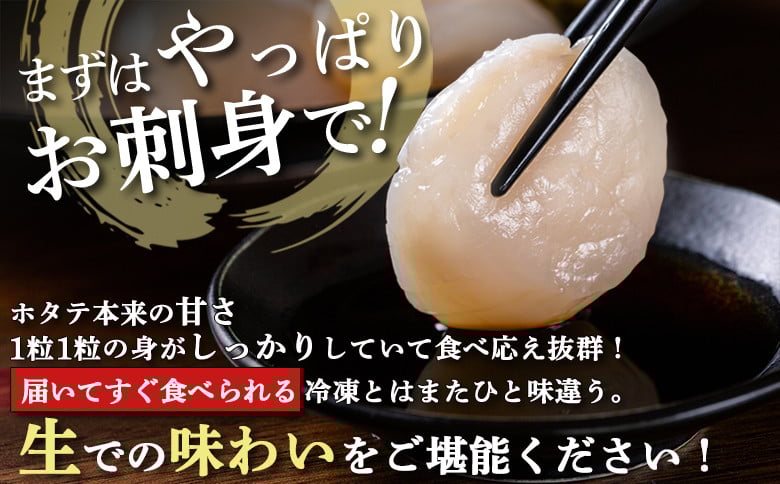 【関東限定！生ほたて】《期間限定》北海道雄武産 生玉ほたて500ｇ塩水パック（冷蔵）