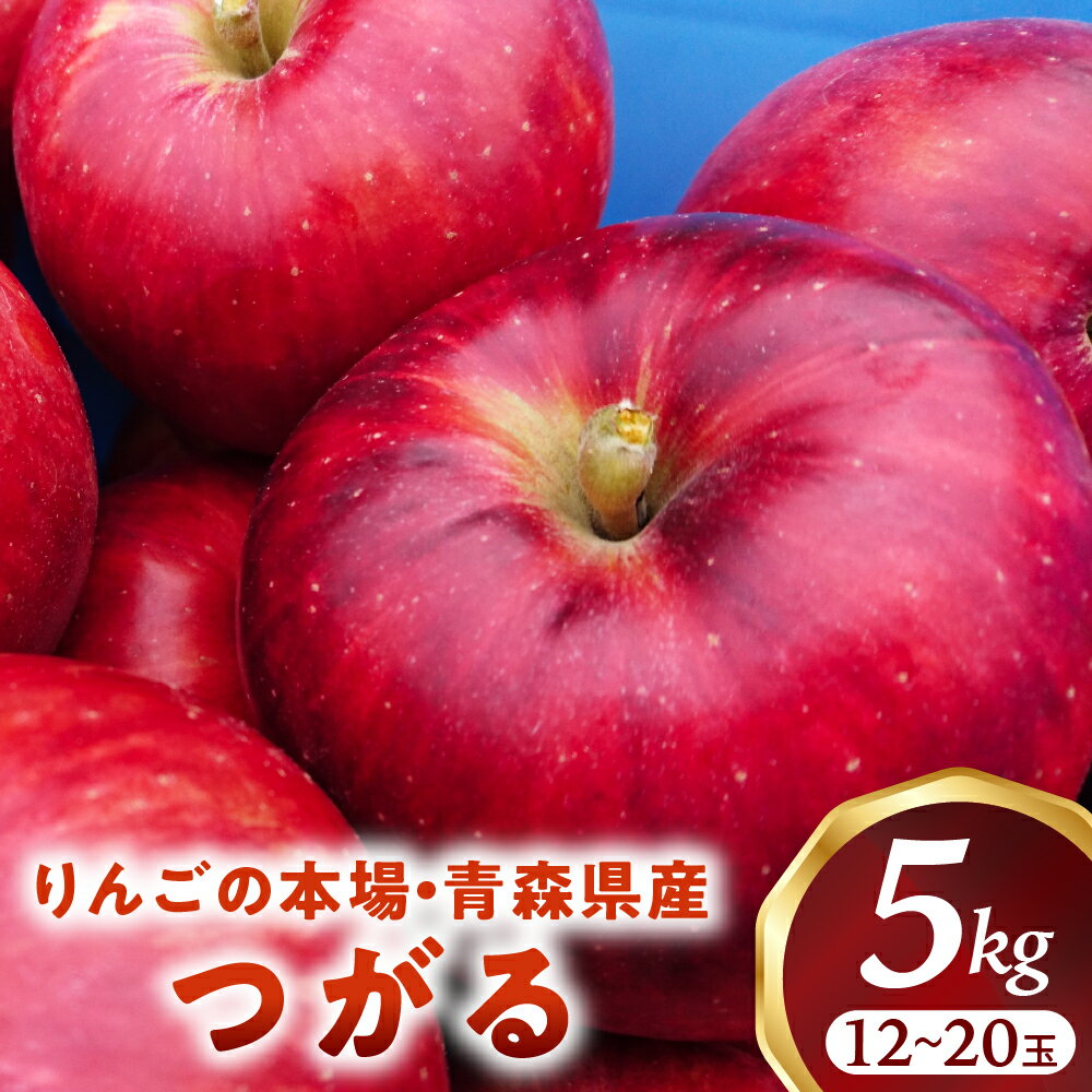 【ふるさと納税】りんご【つがる】約5kg（12～20玉）【2025年産・先行予約】★2025年9月上旬～9月下旬頃まで発送予定★りんご 林檎 フルーツ 果物 果実 青森 青森県 青森県産 三戸 三戸町 高級 贈答 ギフト プレゼント 産地直送 農家直送 ふるさと 送料無料