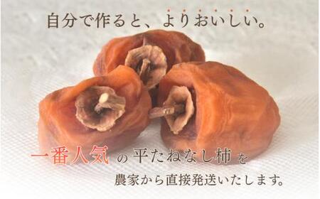 甘さが違う！とっても甘くなる生渋柿（平たねなし柿）吊るし柿用 T字枝or吊るしクリップ付 約2.5～3kg 約9～18個 １０月下旬～順次発送(日付指定不可)-Ted【art040】