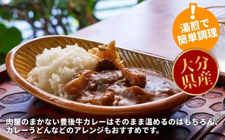 肉屋のまかない豊後牛レトルトカレー 230g×10袋 |豊後高田市 レトルトカレー