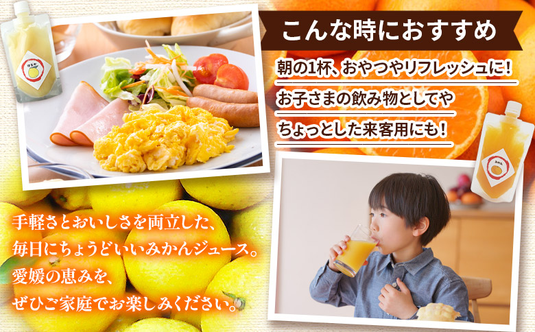 ＜100％ストレートジュース パウチタイプ 160ml×20個（2種類×10）＞『1か月以内に順次発送予定』種類はおまかせ 飲み比べ セット 果物 くだもの フルーツ 柑橘類 みかん 蜜柑 ミカン みかんジュース 飲料 渡江から一歩を踏み出す会 愛媛県 西予市【常温】
