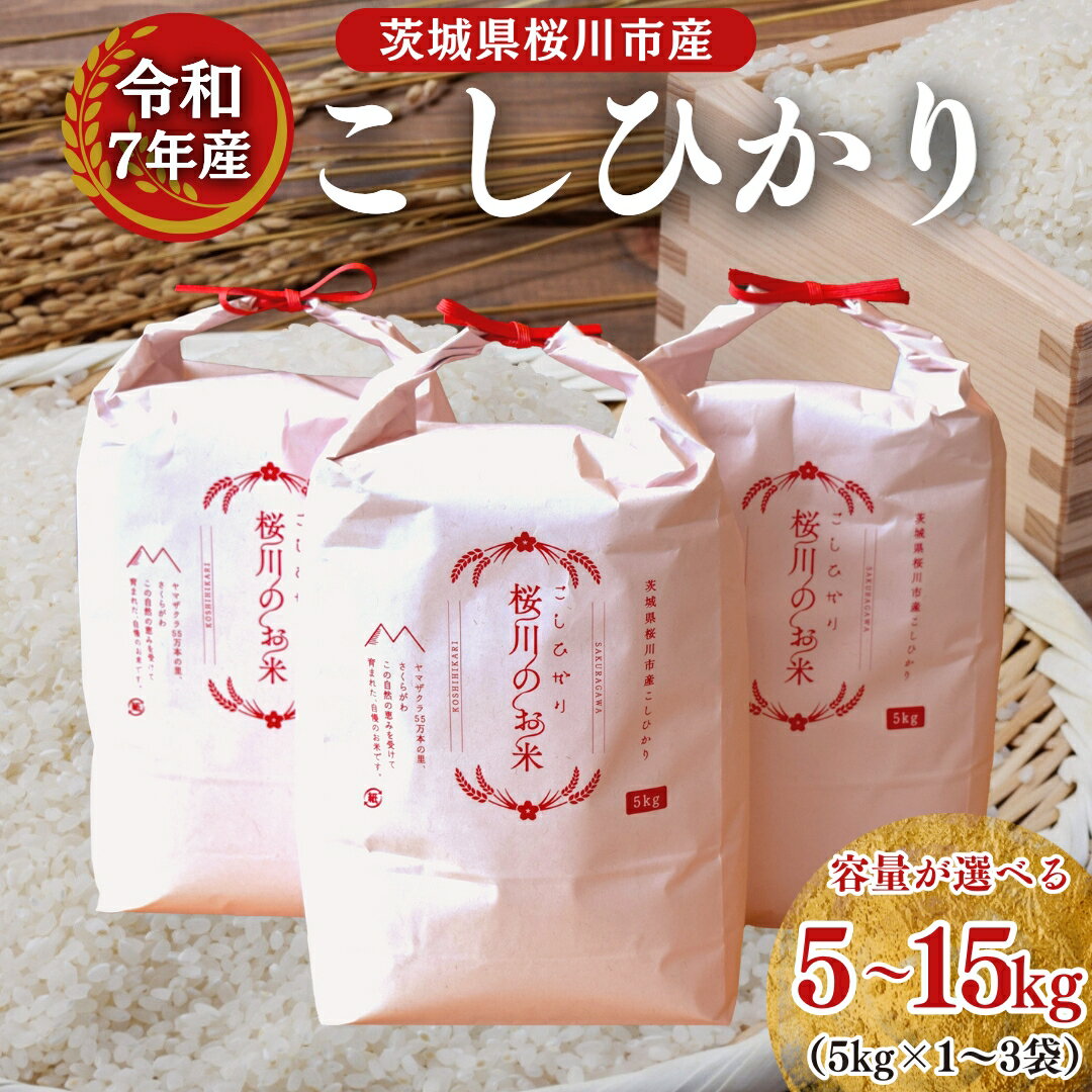 【ふるさと納税】【生産者支援】 《令和7年産 先行予約》茨城県 桜川市産 こしひかり 5kg 10kg 15kg 茨城県産 桜川 米 お米 白米 コメ ごはん 精米 コシヒカリ 国産 限定 銘柄米