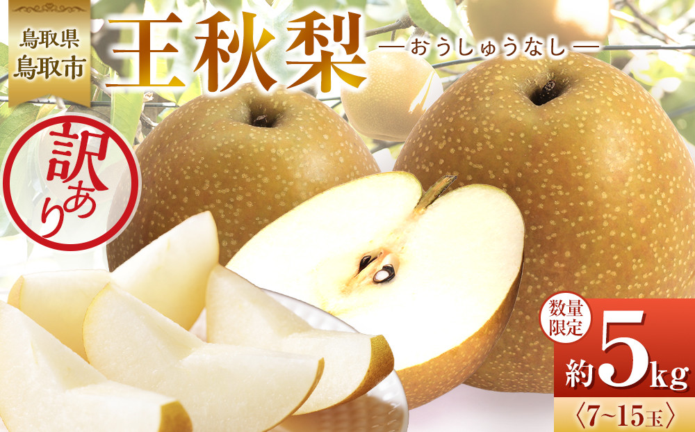 【先行予約】訳あり 数量限定 鳥取県産 王秋梨（おうしゅうなし） 約5kg （7～15玉）≪2026年11月中旬頃出荷≫ 312011_GT003