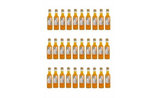 
                  【定期便（2カ月ごと全4回）】小田原産江之浦みかんスパークリング果汁入り飲料果汁５０％２００ml３０本｜飲料 炭酸 果汁 ドリンク 人気 おすすめ フルーツ ソーダ 清涼飲料 セット 定期便 送料無料 神奈川県 小田原市
                