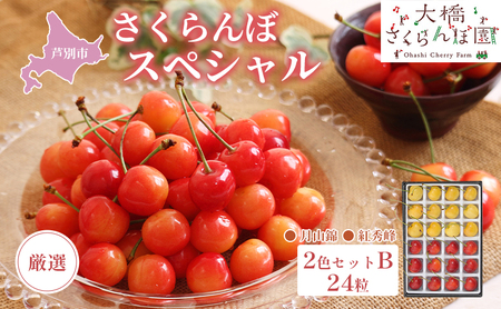 先行受付 厳選 さくらんぼ スペシャル 2色 セット B 24粒 （赤・黄） 紅秀峰 月山錦