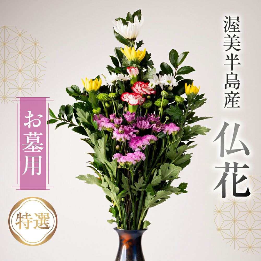 【ふるさと納税】産地直送 《お墓用》 仏花 特選 日時指定可 生産額 日本一 田原市 渥美半島 月命日 お彼岸 お盆 年末 鮮度 生花 お花 定期便 お墓まいり
