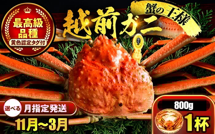 
            【先行予約】 【希望月指定可】 越前がに 800ｇ×1杯 / 蟹 ズワイガニ ずわいがに ボイル 冷蔵 小浜市 / まるほ商店 【配送不可地域：北海道・沖縄・離島】[BFCS024]
          