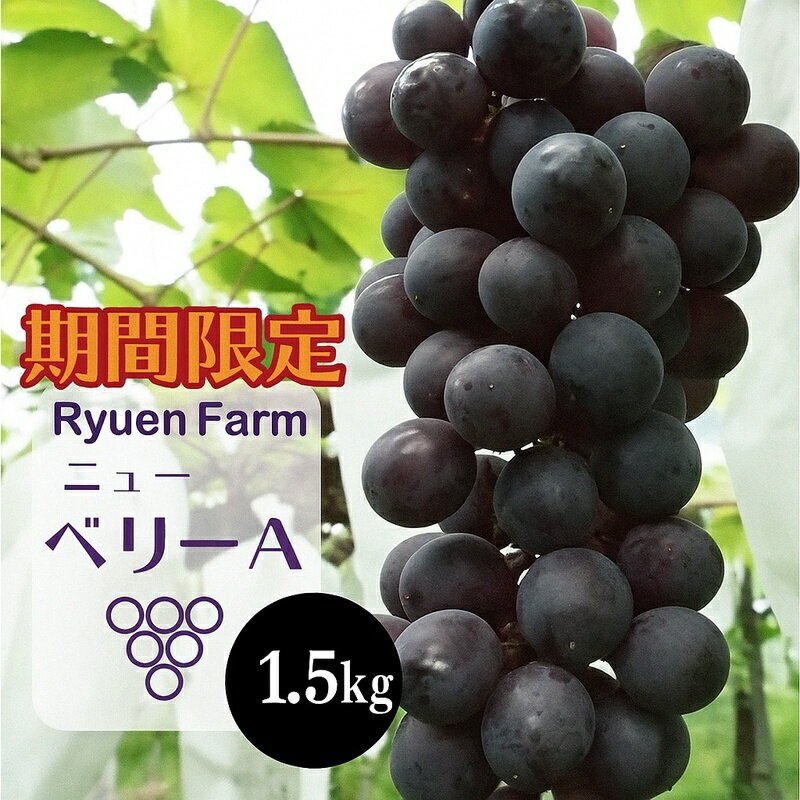 【ふるさと納税】 【2025年8月下旬から発送】ニューベリーA 1.5kg 冷蔵 ブドウ ぶどう 巨峰 フルーツ 福岡県川崎町 竜円農園 先行予約 旬 ぶどう 数量限定 ぶどう フルーツ 果物 人気 くだもの 贈答 ギフト 中元 お中元 お盆 帰省 おすすめ 福岡 福岡県 川崎町
