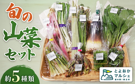 A-138 天然物！旬の山菜セット（5種類程度）＜4月以降順次発送開始予定＞【期間限定】【数量限定】