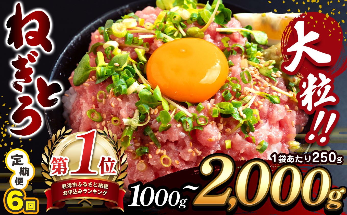 
            【 6ヶ月 定期便 】【選べる容量】 清幸丸水産 大人気！ ねぎとろ 1000g～2000g（250g 小分け） | 1000g 1250g 1500g ネギトロ とろ 鮪 マグロ まぐろ たたき まぐろのたたき 海鮮 海鮮丼 魚介 魚 人気 小分け 人気 定番 ご飯 オススメ 千葉県 君津市 きみつ 定期 6回
          