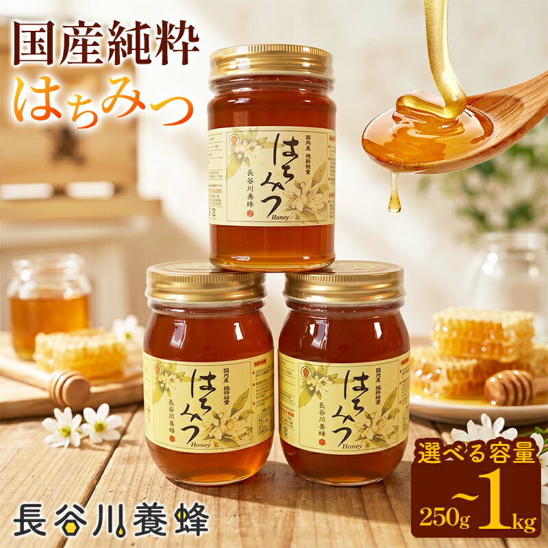【ふるさと納税】 国産 はちみつ 250g~1kg 選べる容量 百花蜜 国産蜂蜜 長谷川養蜂 お取り寄せ ギフト 贈答 ハチミツ 純粋はちみつ ハニー 三重県 伊勢 志摩 南伊勢町